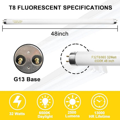 25 Pack T8 Fluorescent Bulbs 4 Foot, F32T8/865 Fluorescent Light Bulb 48 Inch - Image 4