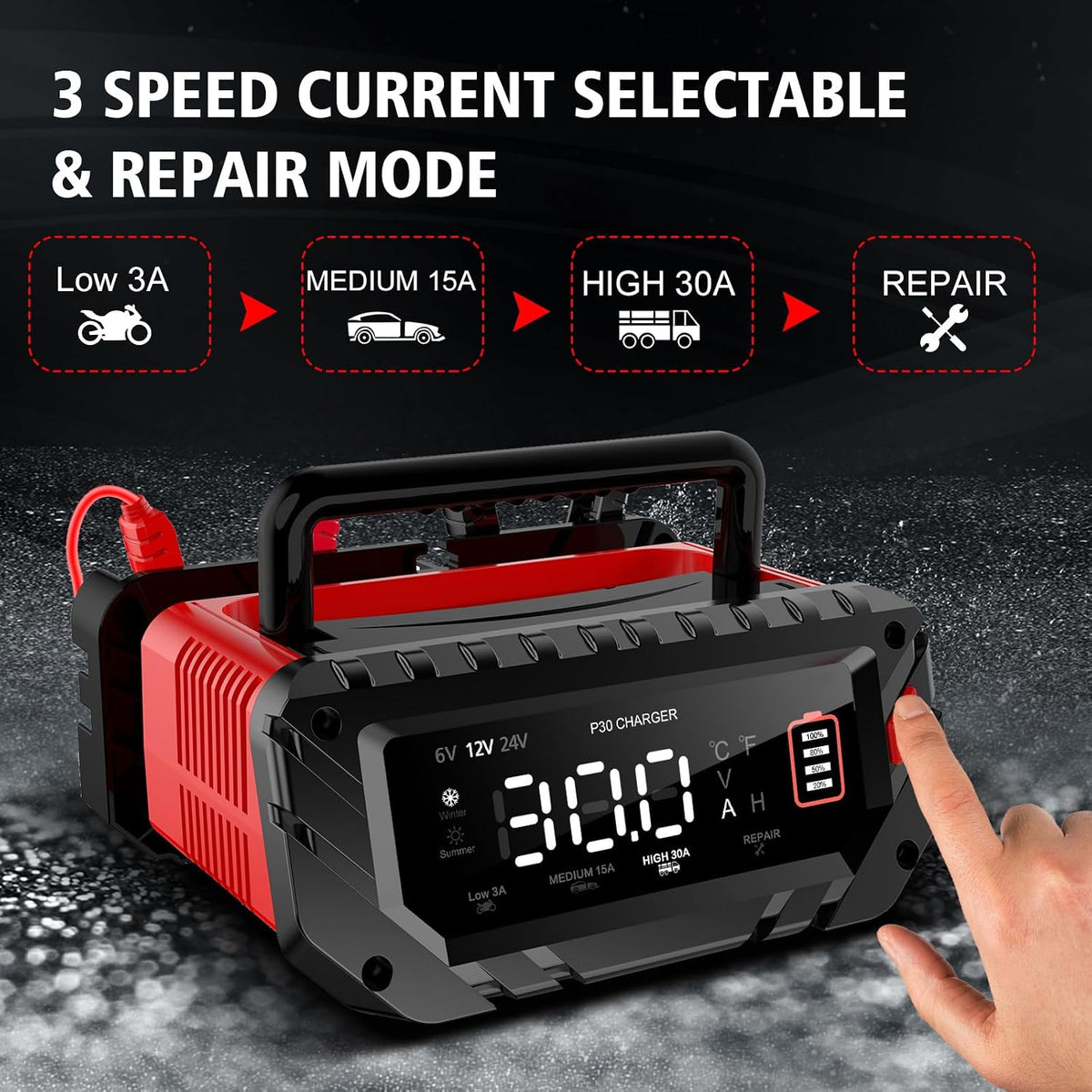 30 Amp 6V/12V/24V Smart Trickle Charger, Car Battery Charger, Lithium, Lifepo...