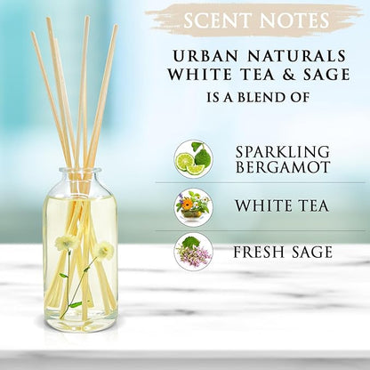 Urban Naturals White Tea & Sage Reed Diffuser Set | Made - Image 3
