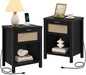 SICOTAS Black Nightstands Set of 2 by SICOTAS
