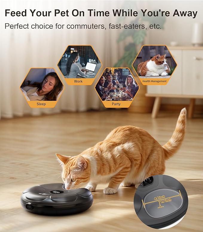 Casfuy Automatic Cat Feeder Cordless - Image 2