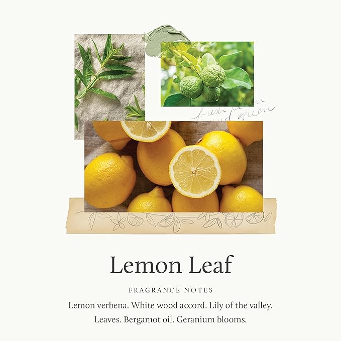 Thymes Pura Refills – 2 Pack of Oil Diffuser Scents – Long-Lasting Pura - Image 3