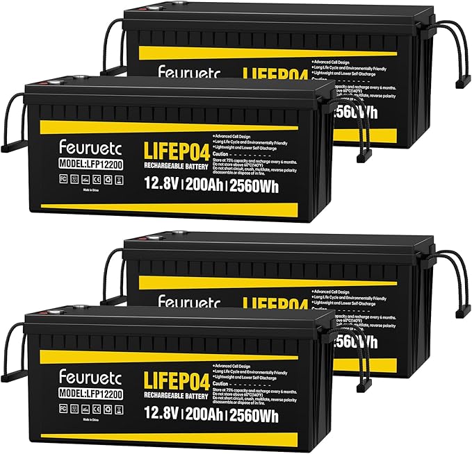 12V 200Ah Lithium LiFePO4 Battery, Built-in 200A BMS, 2560Wh Energy Storage by Saveupto50onFeuruetc