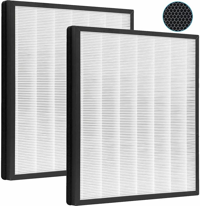 （2 Packs）HE401 Filter Replacement by Vagmecip