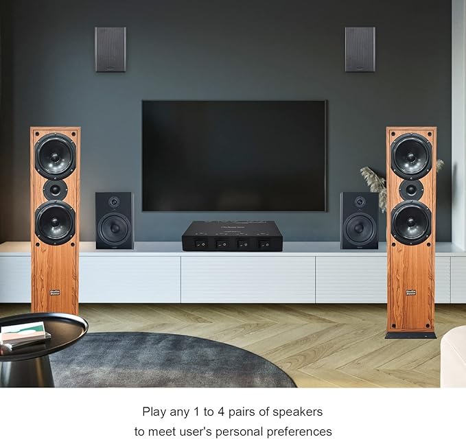 SENWIKATIN 4 Zone Speaker Selector, Passive 200W Distribution Box Control 4 - Image 3