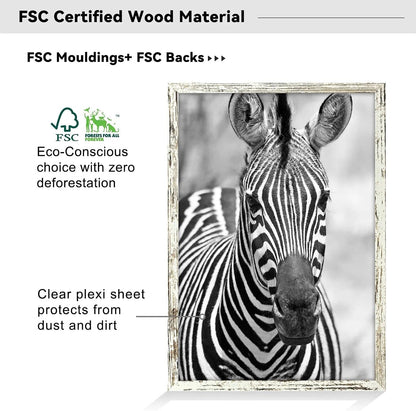 20x28 Poster Frame,Distressed,Engineered Wood with Polished Plexiglass | Large Wide Picture Frames for Vertical or Horizontal Wall Display,Fits Photos,Art Prints,FSC Certified Eco-Friendly,2 Pack
