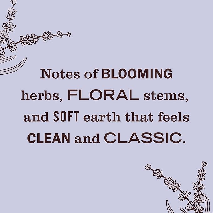 MRS. MEYER'S CLEAN DAY Scented Oil Refills, contains 4 .67 fl oz refills - Image 3