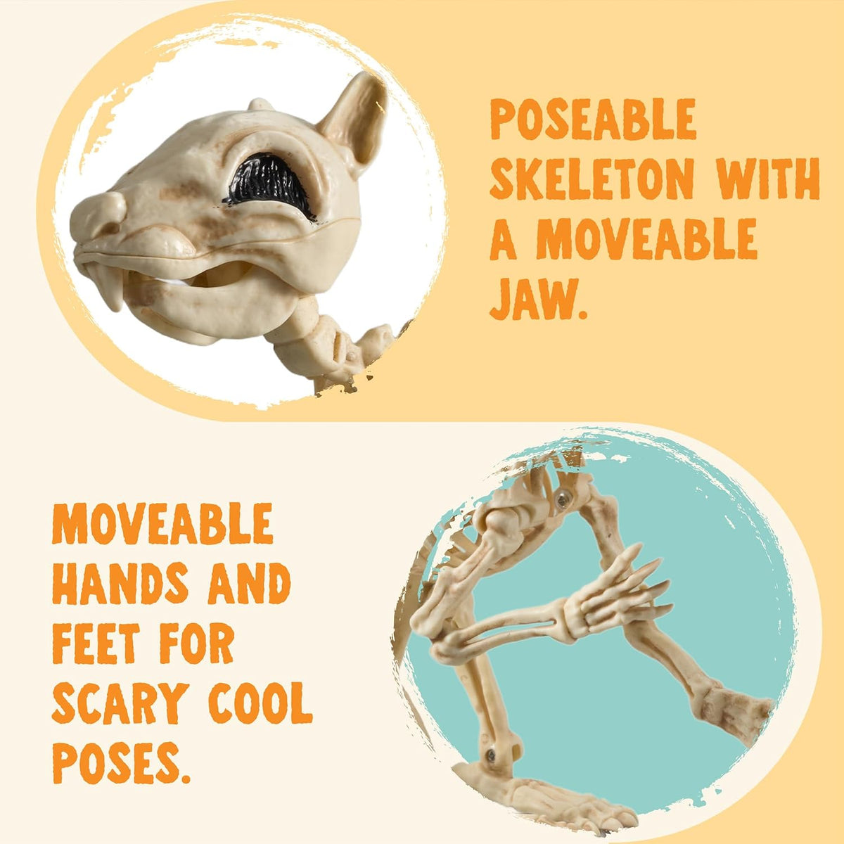 JOYIN Squirrel Skeleton Halloween Decoration 9.1 Inch Animal Posable Skeleton...