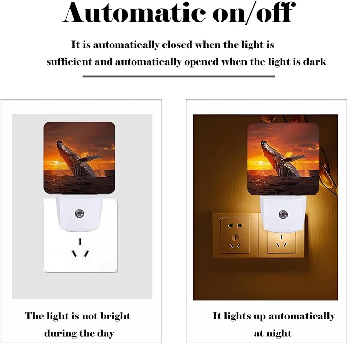 FSHVQKD Sunset Humpback Whale Night Light, Plug Into Wall - Image 3