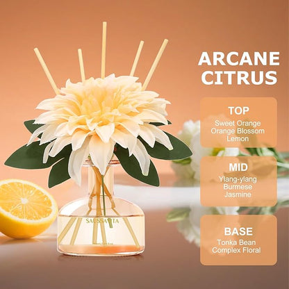Reed Diffuser Set for Home, 7.1 fl oz / 210 ml - Image 3