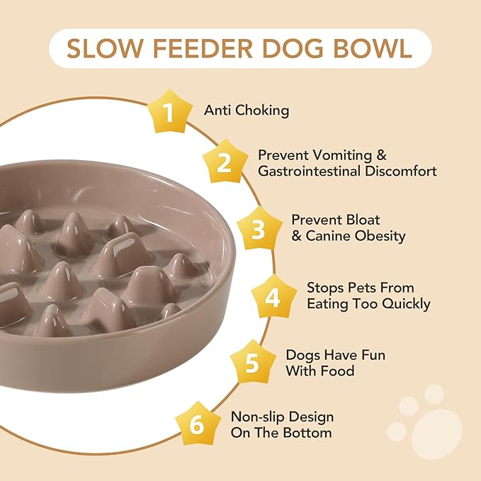 Ceramic 1.6 Cup Dog Raised Slow Feeder Set, Elevated Bowl - Image 6