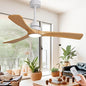 Gaizw 52 Inch Ceiling Fans by Unknown