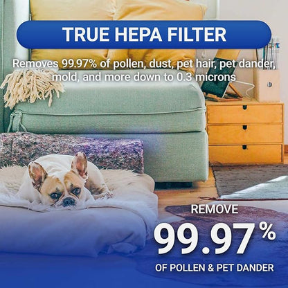 Advanced PureAir Air Shield Air Purifier - Image 3