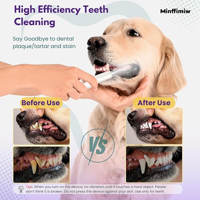 Dog Plaque and Tartar Remover - Image 3