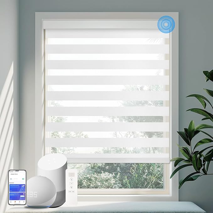 COOLWINDS Motorized Zebra Blinds by Home