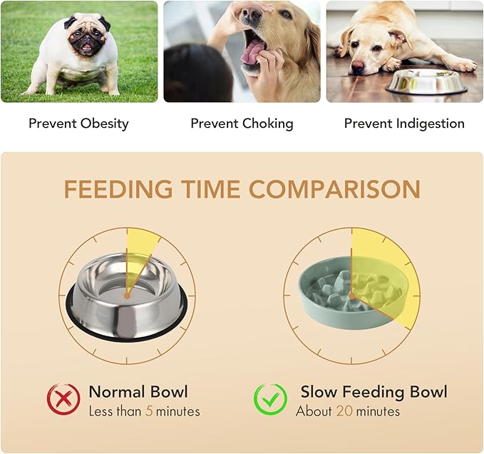 Ceramic 3.2 Cup Raised Slow Feeder Dog Bowl Set, Elevated 8.2inch Bowl and - Image 5