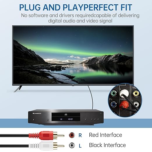 Sjorks RCA Cable 10ft, 2RCA Male to 2RCA Male, Audio Stereo Subwoofer Cable - Image 3