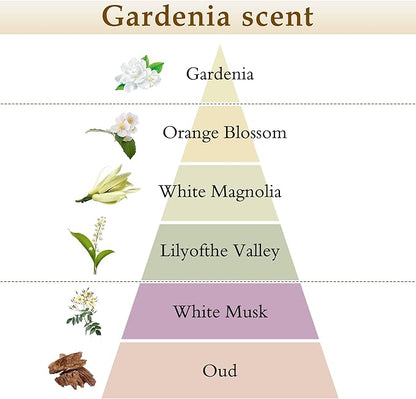 XEPTLE Reed Diffuser Set, 7.04 oz Creamy Gardenia Scent Diffuser - Image 2