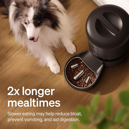PETLIBRO Automatic Dog Feeder - Image 4