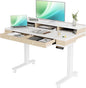 Claiks Standing Desk with Drawers, Electric Adjustable Standing Desk Adjustable by CLAIKS