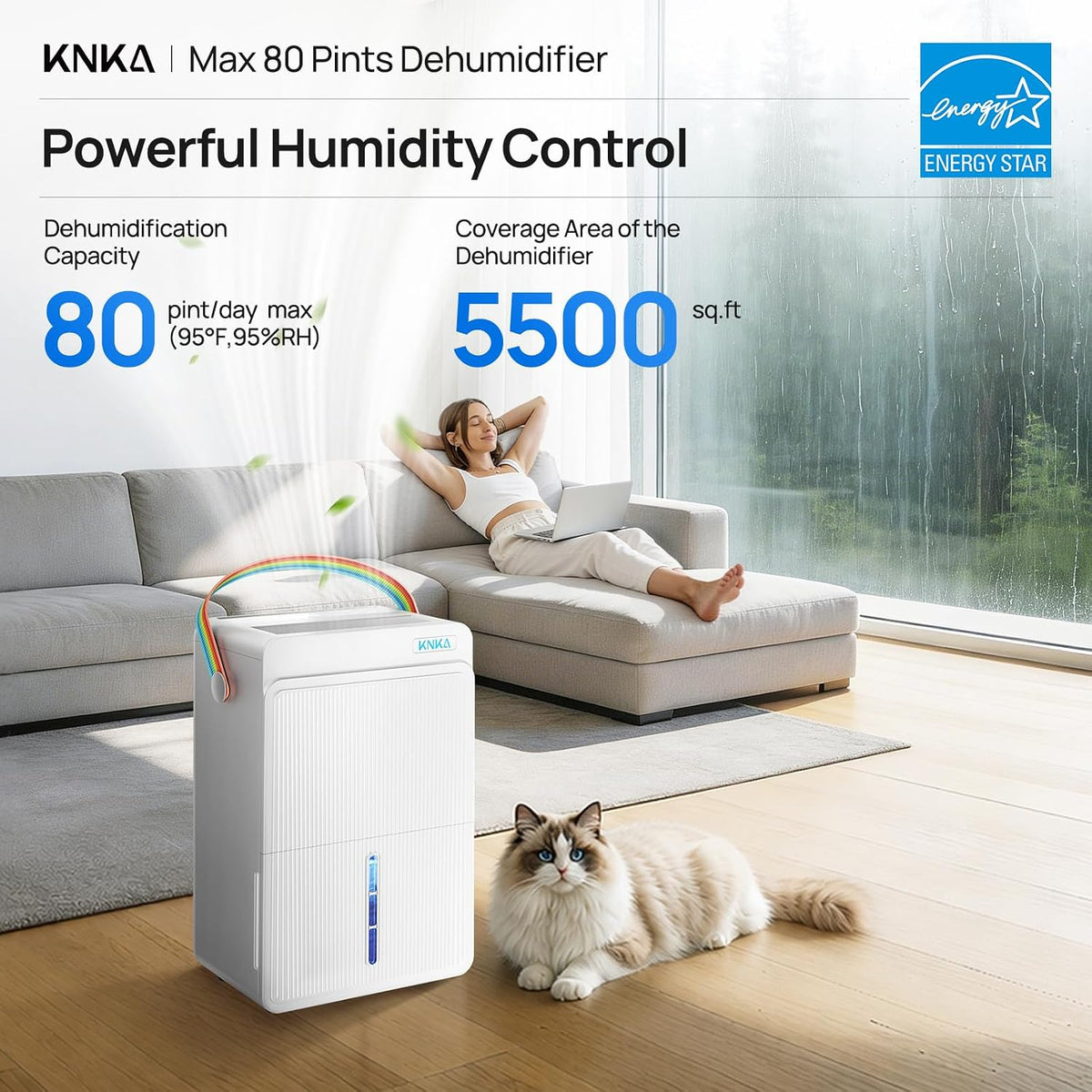 knka energy star 5500 sq.ft dehumidifier for basement shown in use