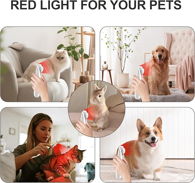 Red Light Therapy Device - Image 2