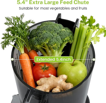Kndko Juicer Machines, Slow Masticating juicer - Image 2