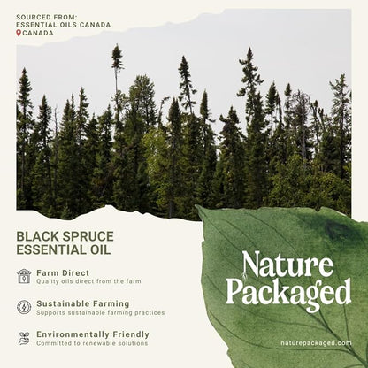 Black Spruce Essential Oil from Canada - Image 7