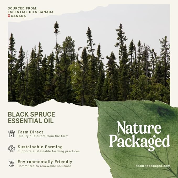 Black Spruce Essential Oil from Canada - Image 7