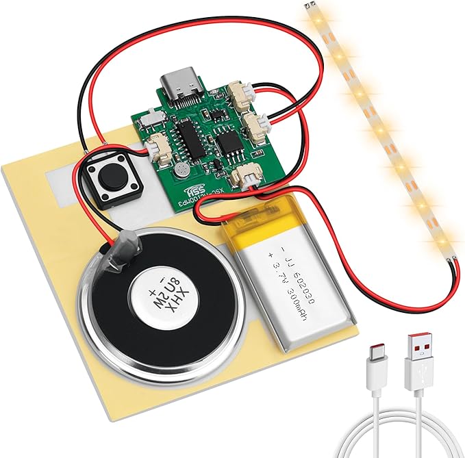 1PCS Customize Recording Module by Unknown