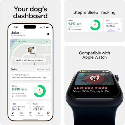 New Fi Series 3+ Smart Dog Tracker Collar GPS Tracker - Image 3