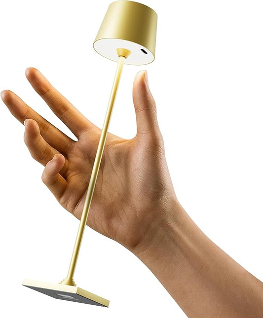 Compact Cordless Table Lamp, Rechargeable LED Night Light, Dual Light Source by Timjorman