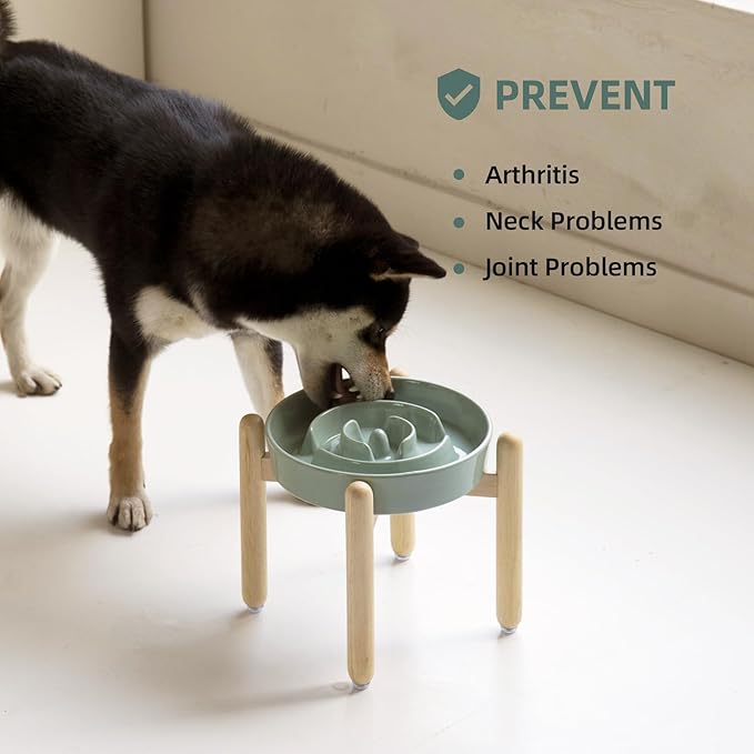 Ceramic 1.6 Cup Raised Slow Feeder Dog Bowl Set, Elevated Wooden Stand - Image 5