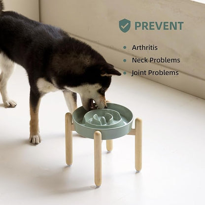 Ceramic 1.6 Cup Raised Slow Feeder Dog Bowl Set, Elevated Wooden Stand - Image 5
