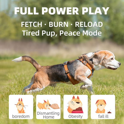 automatic dog ball launcher-small silent dog ball thrower, close-up detail