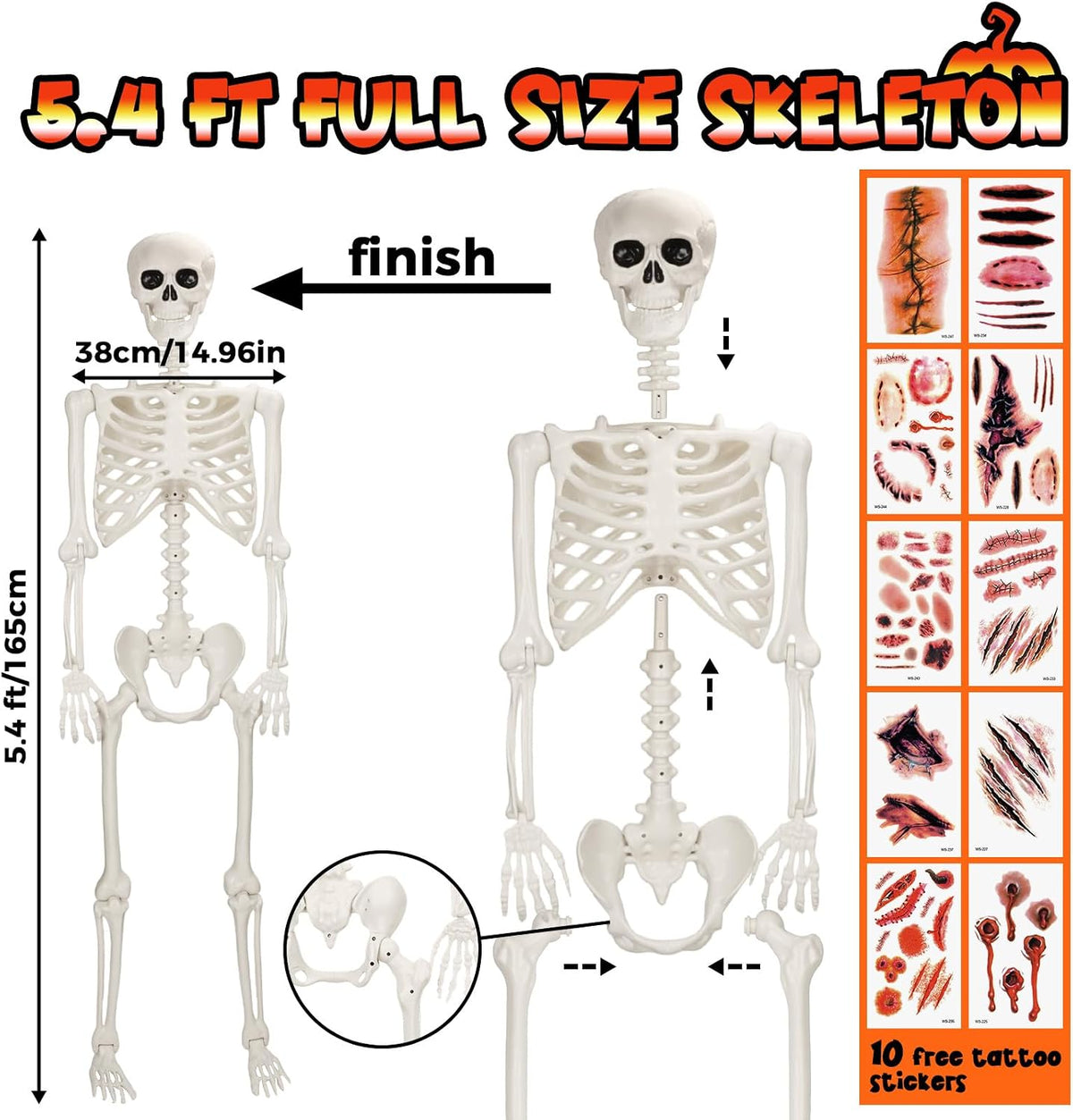 5.4 FT Halloween Life Size Skeleton, Full Size Skeleton Poseable