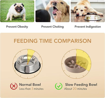 Ceramic 1.2 Cup Raised Slow Feeder Dog Bowl Set, Elevated 6.1inch Bowl and - Image 5