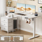 REAHOME Electric Standing Desk by REAHOME
