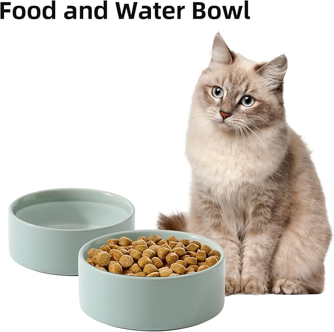 Ceramic 5.1inch Set of 2 Dog and Cat Bowls - Image 5