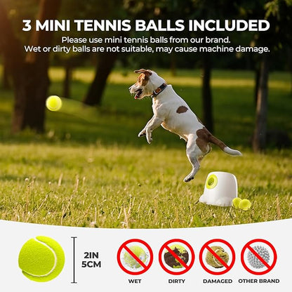 ALL FOR PAWS Original Dog Automatic Ball Launcher for Small and Medium Dogs - Image 5