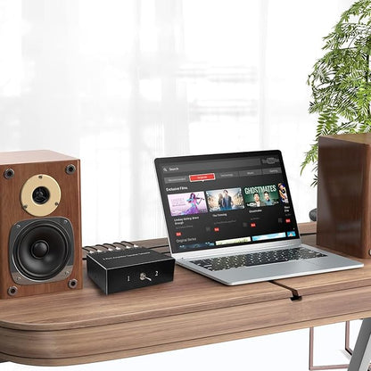 2-Way Audio Switcher Can Support Two Amplifiers, One Audio or One Amplifier - Image 4