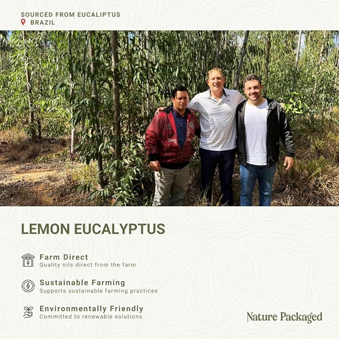 Lemon Eucalyptus Oil by Eucaliptus from Brazil - Image 3