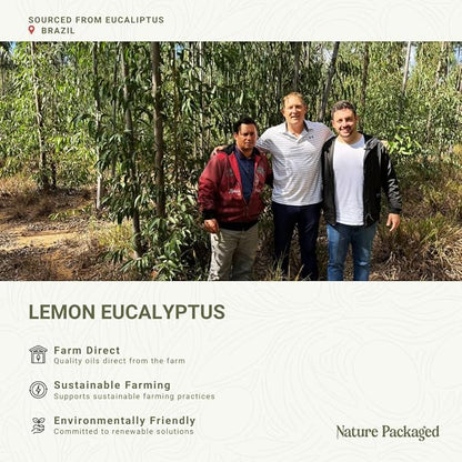 Lemon Eucalyptus Oil by Eucaliptus from Brazil - Image 3