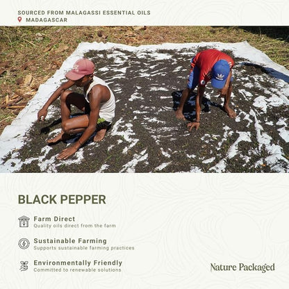 Black Pepper Essential Oil - Image 3