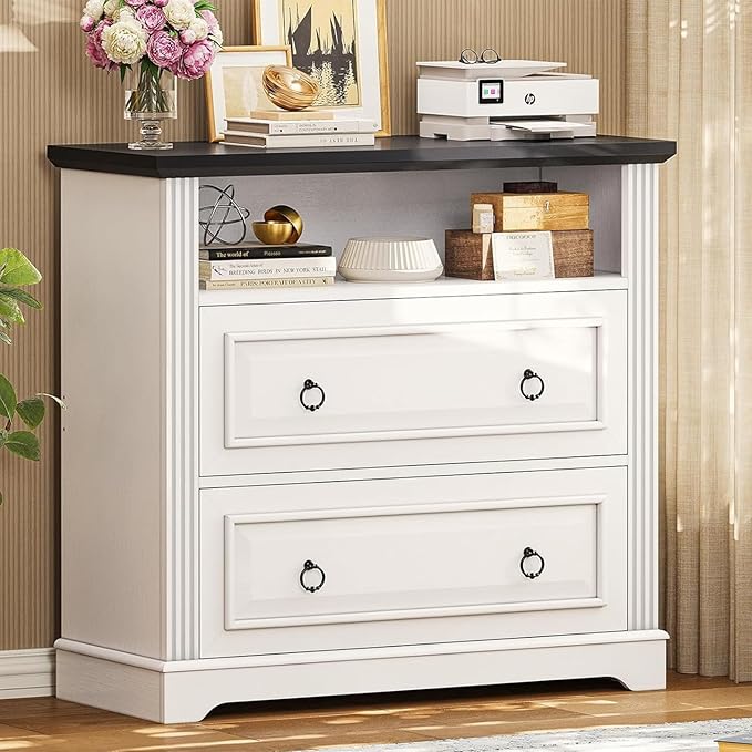 Itaar 2 Drawer File Cabinet, Farmhouse Filing Cabinet by Itaar