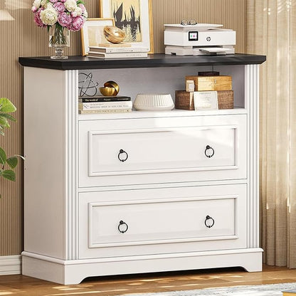 Itaar 2 Drawer File Cabinet, Farmhouse Filing Cabinet by Itaar