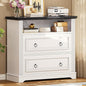 Itaar 2 Drawer File Cabinet, Farmhouse Filing Cabinet by Itaar