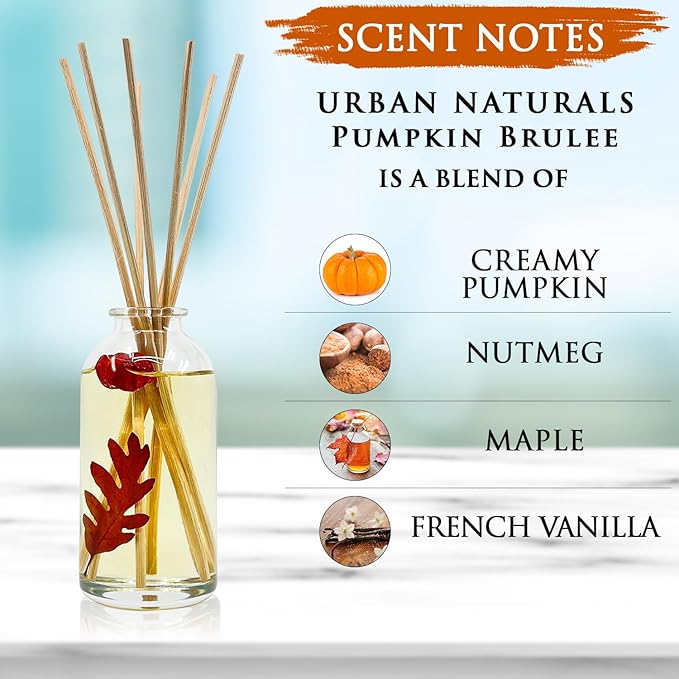 Urban Naturals Pumpkin Brulee Scented Sticks Reed Diffuser Oil Set | Fall & - Image 3