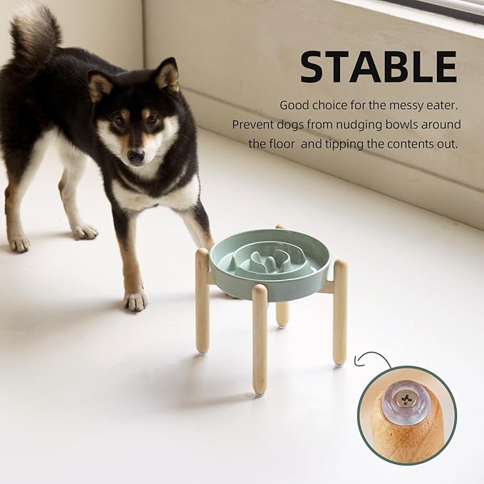 Ceramic 1.6 Cup Raised Slow Feeder Dog Bowl Set, Elevated Wooden Stand - Image 6