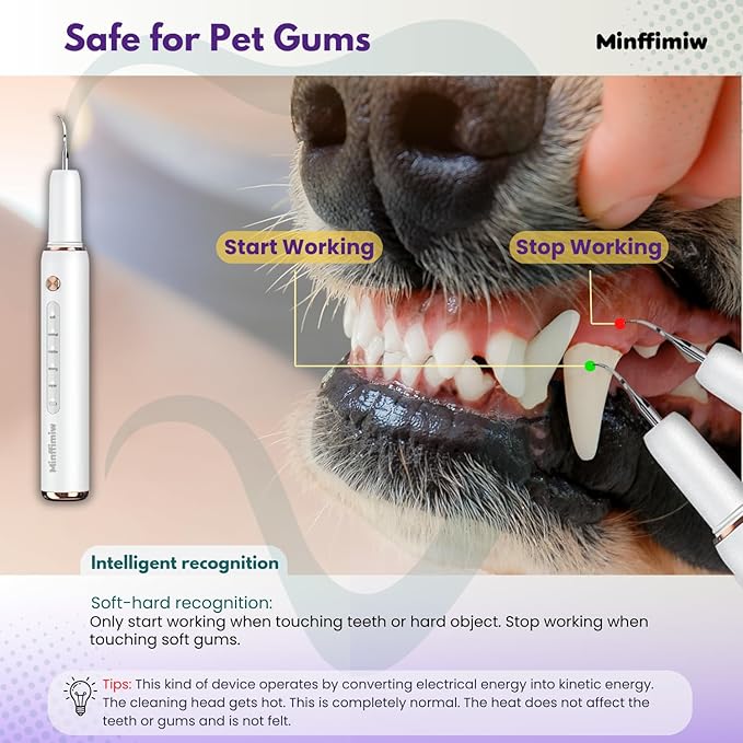 Dog Plaque and Tartar Remover - Image 2